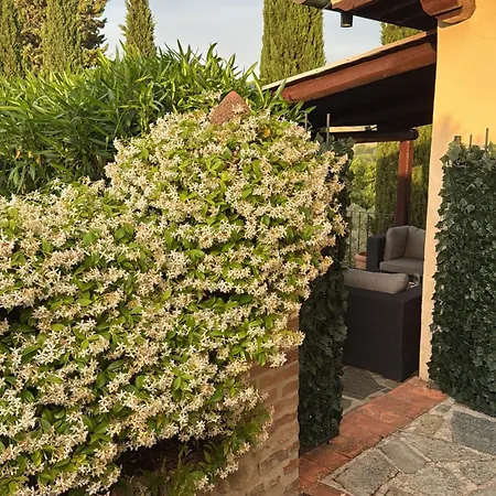 A Beautiful With Private Pool Volterra